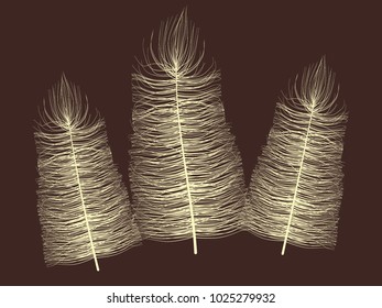 Fluff. Beautiful Hand Drawn Feathers Isolated. Angel. Fluff for Wallpaper, Illustration, Carnival, Masquerade, Invitation, Paper, Textile. Decoration Element for Your Design. Beige Fluff.