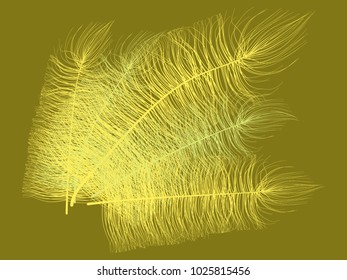 Fluff. Beautiful Hand Drawn Feathers Isolated. Fluff for Wallpaper, Illustration, Carnival, Masquerade, Invitation, Paper, Textile. Decoration Element for Your Design. Feather. Angelic.