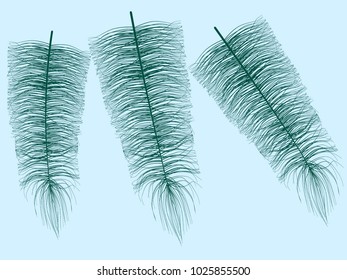 Fluff. Beautiful Hand Drawn Feathers. Feathers Isolated. Fluff for Wallpaper, Illustration, Carnival, Masquerade, Invitation, Paper, Textile. Decoration Element for Your Design. Blue Feathers. Fluffy.