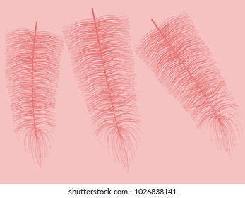 Fluff. Beautiful Hand Drawn Feathers Isolated. Red Fluff for Wallpaper, Illustration, Carnival, Masquerade, Invitation, Paper, Textile. Decoration Element for Your Design. Feather. Angelic.