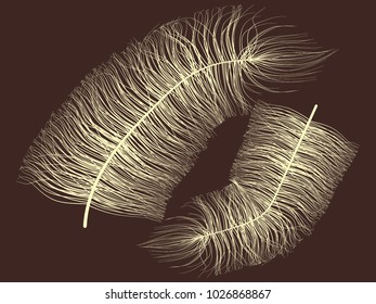 Fluff. Beautiful Hand Drawn Feathers Isolated. Angel. Fluff for Wallpaper, Illustration, Carnival, Masquerade, Invitation, Paper, Textile. Decoration Element for Your Design. Beige Fluff.