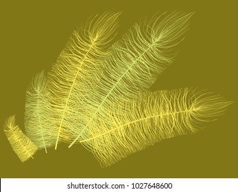 Fluff. Beautiful Hand Drawn Feathers Isolated. Fluff for Wallpaper, Illustration, Carnival, Masquerade, Invitation, Paper, Textile. Decoration Element for Your Design. Feather. Angelic.