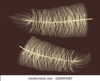 Fluff. Beautiful Hand Drawn Feathers Isolated. Angel. Fluff for Wallpaper, Illustration, Carnival, Masquerade, Invitation, Paper, Textile. Decoration Element for Your Design. Beige Fluff.