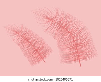 Fluff. Beautiful Hand Drawn Feathers Isolated. Red Fluff for Wallpaper, Illustration, Carnival, Masquerade, Invitation, Paper, Textile. Decoration Element for Your Design. Feather. Angelic.