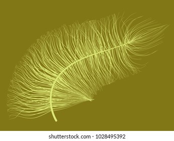 Fluff. Beautiful Hand Drawn Feathers Isolated. Fluff for Wallpaper, Illustration, Carnival, Masquerade, Invitation, Paper, Textile. Decoration Element for Your Design. Feather. Angelic.