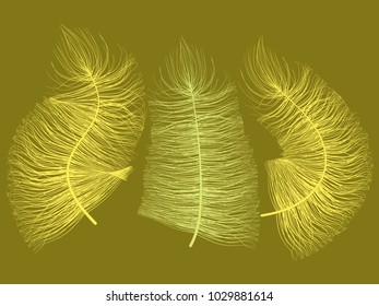 Fluff. Beautiful Hand Drawn Feathers Isolated. Fluff for Wallpaper, Illustration, Carnival, Masquerade, Invitation, Paper, Textile. Decoration Element for Your Design. Feather. Angelic.