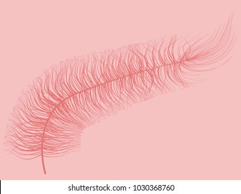 Fluff. Beautiful Hand Drawn Feathers Isolated. Red Fluff for Wallpaper, Illustration, Carnival, Masquerade, Invitation, Paper, Textile. Decoration Element for Your Design. Feather. Angelic.