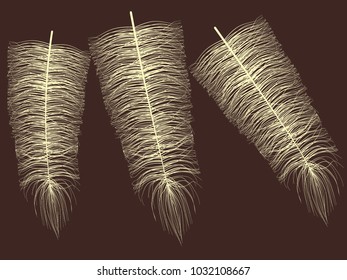 Fluff. Beautiful Hand Drawn Feathers Isolated. Angel. Fluff for Wallpaper, Illustration, Carnival, Masquerade, Invitation, Paper, Textile. Decoration Element for Your Design. Beige Fluff.