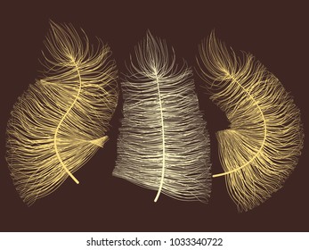 Fluff. Beautiful Hand Drawn Feathers Isolated. Angel. Fluff for Wallpaper, Illustration, Carnival, Masquerade, Invitation, Paper, Textile. Decoration Element for Your Design. Beige Fluff.