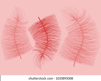 Fluff. Beautiful Hand Drawn Feathers Isolated. Red Fluff for Wallpaper, Illustration, Carnival, Masquerade, Invitation, Paper, Textile. Decoration Element for Your Design. Feather. Angelic.