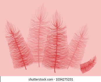 Fluff. Beautiful Hand Drawn Feathers Isolated. Red Fluff for Wallpaper, Illustration, Carnival, Masquerade, Invitation, Paper, Textile. Decoration Element for Your Design. Feather. Angelic.