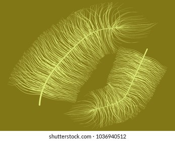 Fluff. Beautiful Hand Drawn Feathers Isolated. Fluff for Wallpaper, Illustration, Carnival, Masquerade, Invitation, Paper, Textile. Decoration Element for Your Design. Feather. Angelic.