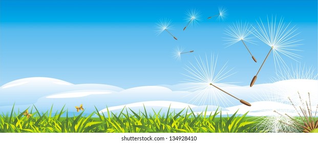 Fluff of dandelion on the landscape background. Vector