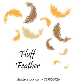 fluff feather