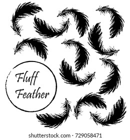 fluff feather