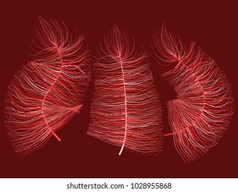 Fluff on Red Background. Beautiful Hand Drawn Feathers Isolated. Fluff for Wallpaper, Illustration, Carnival, Masquerade, Invitation, Paper, Textile. Decoration Element for Your Design.