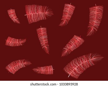 Fluff on Red Background. Beautiful Hand Drawn Feathers Isolated. Fluff for Wallpaper, Illustration, Carnival, Masquerade, Invitation, Paper, Textile. Decoration Element for Your Design.