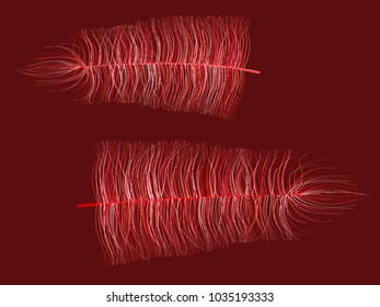 Fluff on Red Background. Beautiful Hand Drawn Feathers Isolated. Fluff for Wallpaper, Illustration, Carnival, Masquerade, Invitation, Paper, Textile. Decoration Element for Your Design.