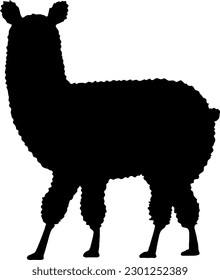 Fluffy alpaca or llama silhouette looking at camera isolated on white background. Vector animal outline.