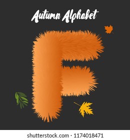 fluffy alphabet letters