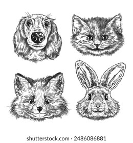 Juego de Ilustraciones vectoriales dibujadas a mano de bozal animal esponjoso. Dibujo en blanco y negro de zorro, gato, perro, liebre o conejo. Estilo de la tinta de la cabeza de la mascota de la historieta, mamíferos de la fauna grabada estilo aislado