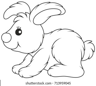 fluffy baby rabbit