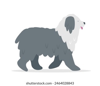 Fluffy big Dog. White and gray cute happy pet. Domestic animal bobtail dog breed. Vector icon illustration isolated on white background.