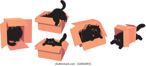 Fluffy black cat in cardboard box. Set of pussycat playing or hiding  in package. Vector kitty pet, domestic animal, feline. Also great for encouraging pet adoption.