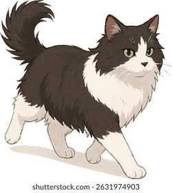 Fluffy Black and White Cat Walking – Confident Vector Illustration on Transparent Background