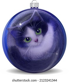 Fluffy black and white kitten inside a blue christmas ball. Vector illustration. 