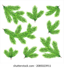 Fluffy branches of a Christmas tree on white background. 