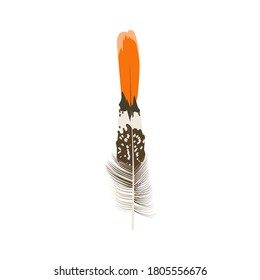 Fluffy bright bird feather. Detailed colorful feather of bird vector illustration isolated on white background
