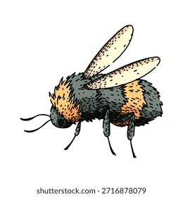 Fluffy bumblebee illustration showcasing its distinctive black and yellow stripes, tiny wings, and antennae while representing concepts of nature, ecology, and vital pollination