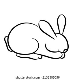 fluffy bunny, decorative rabbit, cute bunny. vector draw graphic design illustration sketch