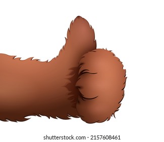 Fluffy cartoon animal brown like paw isolated.