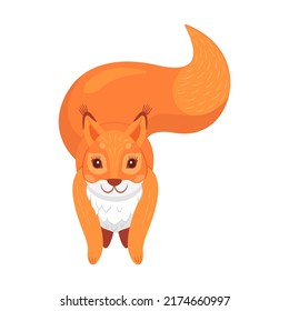 Fluffy cartoon animal with furry tail holding nut, jumping, moving. Cute red squirrel. Flat vector illustrations for wildlife, mammals, forest fauna