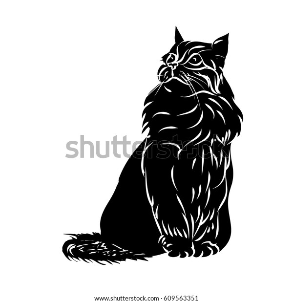 Fluffy Cat Black Silhouette On White Stock Vector (Royalty Free) 609563351