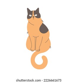 Fluffy Cat with Brown Spotted Coat and Curved Tail Sitting Vector Illustration