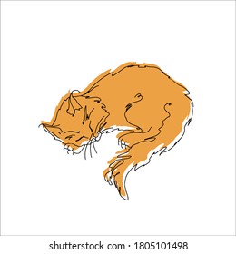 Fluffy cat curled up in a ball while sleeping on an orange background, made in a lineart style
