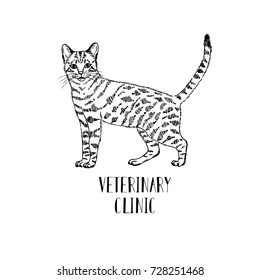 Fluffy cat hand-drawn. Logo for veterinary clinic or store Pets. On a white background.