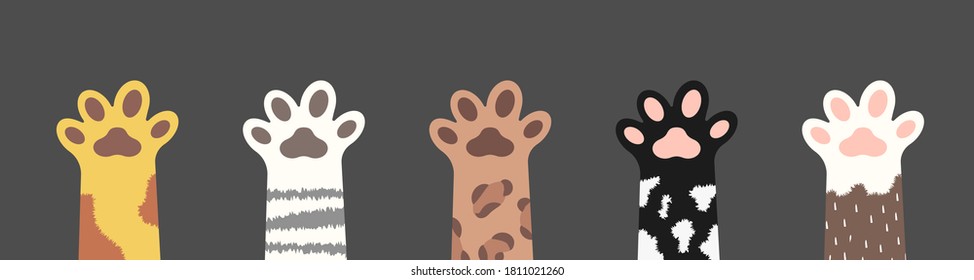 Fluffy cat paws collection. Set of various cute kitten foot silhouettes isolated on gray background. Animals and pets concept. Vector illustration in cartoon style.