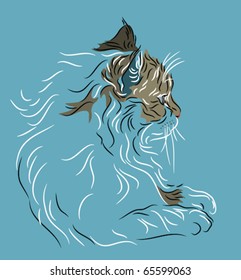 Fluffy cat in profile on blue background