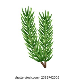 Fluffy Christmas tree branch 3D. Green pine, evergreen plant. Winter holiday element for decoration, design of banner, card, poster. Isolated Christmas tree branch on white. Vector illustration.