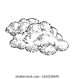 fluffy cloud sketch hand drawn vector white sky, smoke space, cloudy heaven vintage black line illustration
