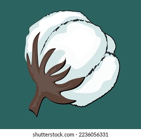 Fluffy cotton flower bud
100 cotton icon on a beige background. Cotton Plant Boll Realistic. Ripe cotton boll opened seeds case realistic of 3 plant parts isolated vector illustration
