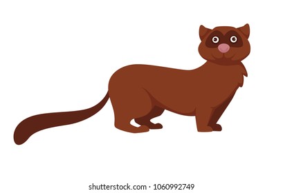 Fluffy cute marten with brown fur and pink nose