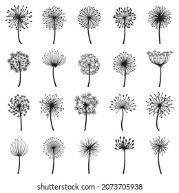 Fluffy dandelion, blowball flowers floral decorative silhouettes. Dandelion fluffy seeds flower plants vector illustration set. Blooming dandelions silhouettes. White fluffy flower, blowball floral