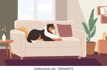 Fluffy Dog Lying On Couch In Modern Living Room. Happy Pet Resting On Sofa At Home. Colored Flat Vector Illustration Of Cute Colli Relaxing In Apartment