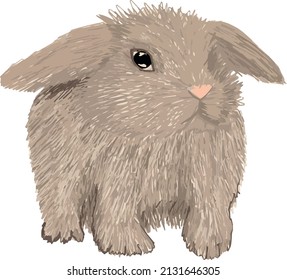 Fluffy easter bunny brown and beige