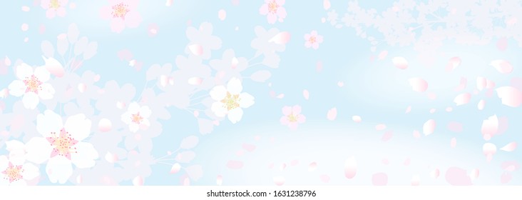 Fluffy fantastic pale pink cherry blossoms and spring sky